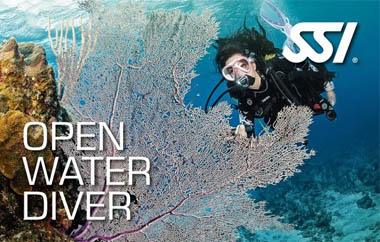 SSI-Open Water Diver